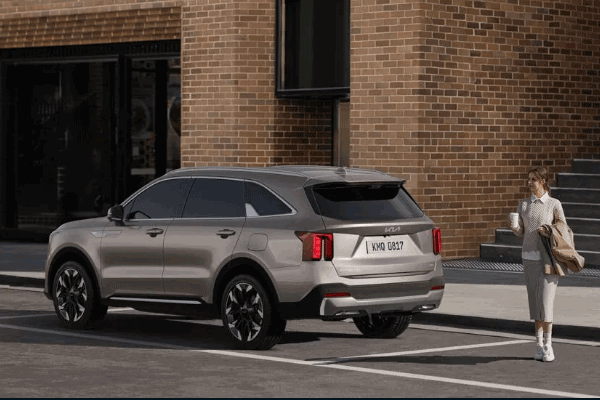 Reverse Parking Collision-avoidance Assist (PCA)