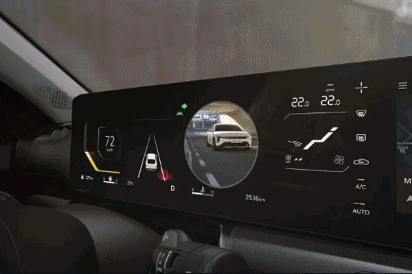 Blind-Spot View Monitor (BVM)