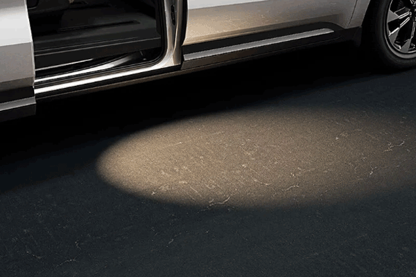 Get on/off puddle light