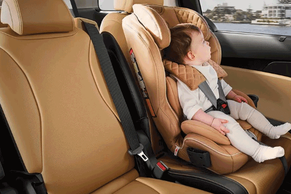 Rear Occupant Alert (ROA)