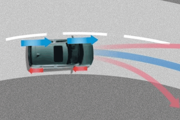 Torque Vectoring 